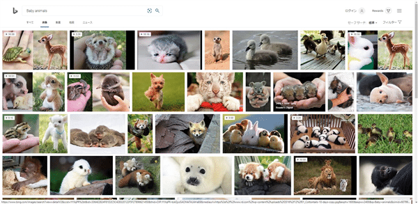 表示された動物の画像