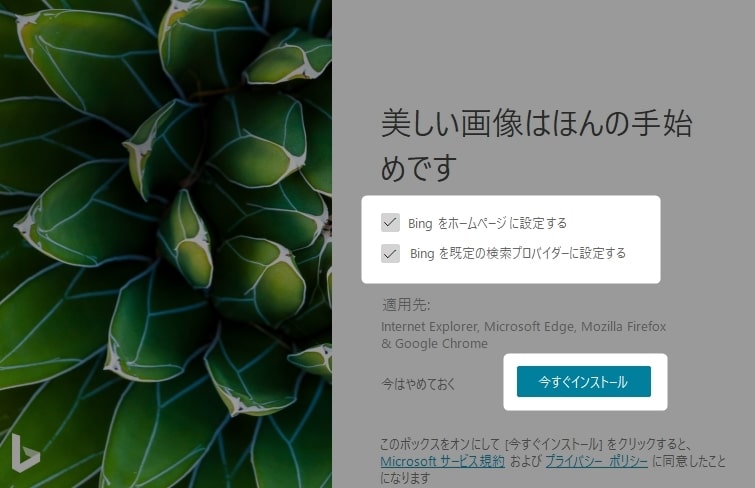 Bingの壁紙を日替わりで表示するアプリを紹介します 美しい画像が毎日 自動更新 こぶたのピグちゃん