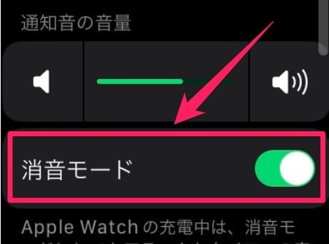 【Apple Watch】バイブレーション機能をオフにしたい！通知で振動しないようにする方法を紹介します。