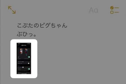 【iPad】【メモ】写真を小さくする方法を紹介します。