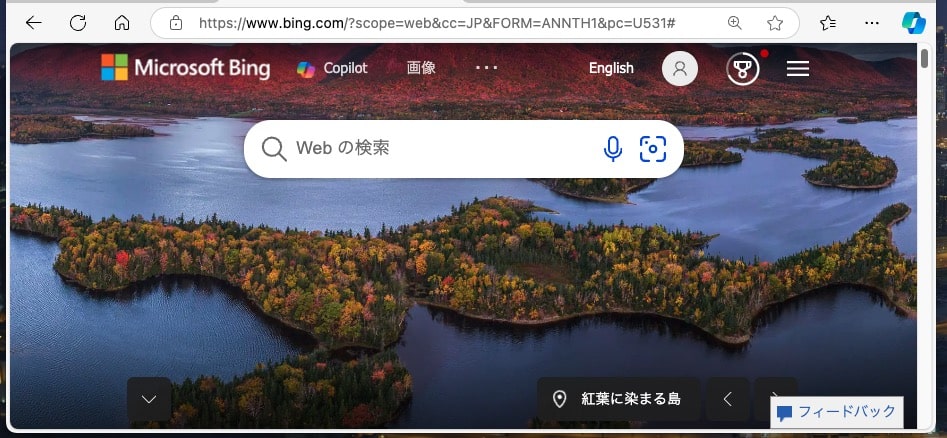 【Bing】背景画像を表示させる方法を紹介します。