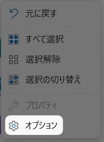 「 オプション 」